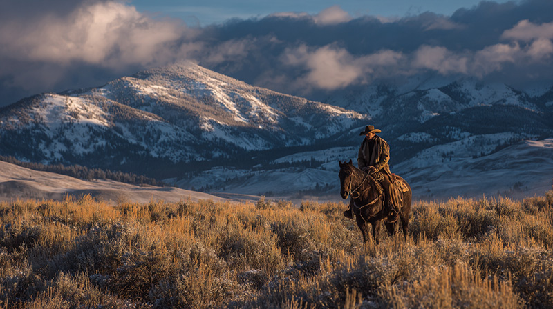 Cowboy Morning